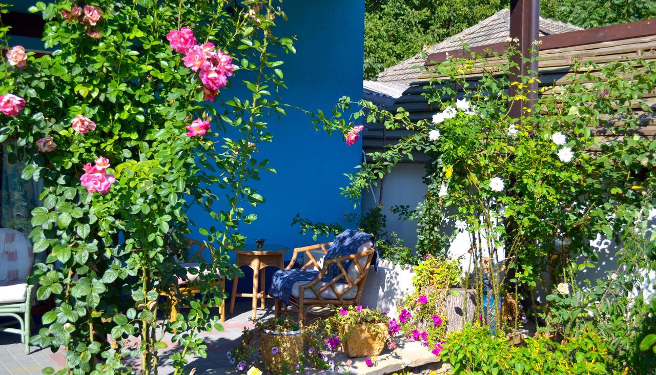 Resedinta Rotundu Bed and Breakfast Butuceny Εξωτερικό φωτογραφία