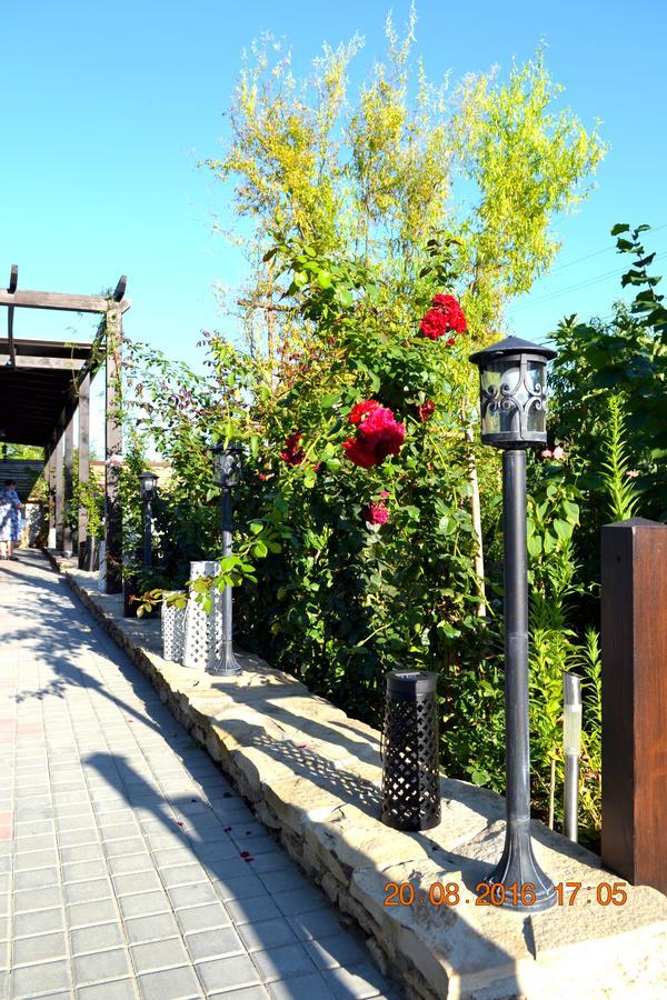 Resedinta Rotundu Bed and Breakfast Butuceny Εξωτερικό φωτογραφία