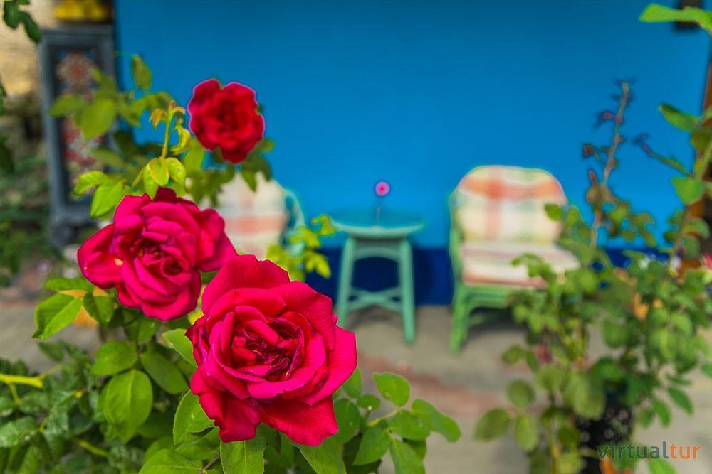 Resedinta Rotundu Bed and Breakfast Butuceny Εξωτερικό φωτογραφία